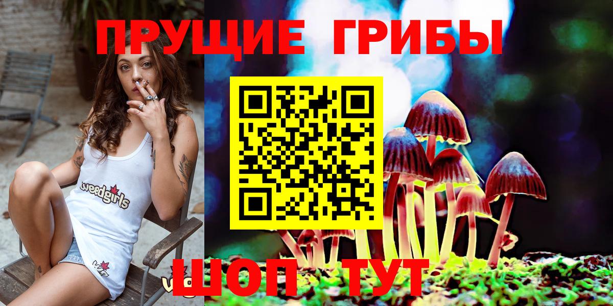 Псилоцибиновые грибы MAGIC MUSHROOMS  как найти наркотики  Артёмовский  Вход с VPN 